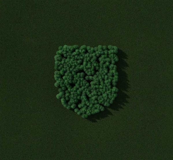 Hedge in the shape of a shield